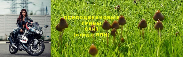 MESCALINE Абаза