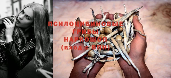 тгк Алексин